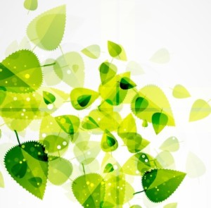 Spring Green Leaves Vector Background