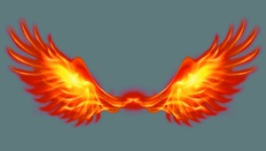 Wings of Fire Vector