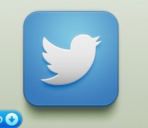 iOS Twitter Icon PSD