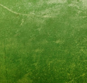 Grass Green Dilapidated Wall Background Texture