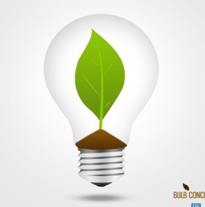 Ecology Concept Gree Leaf in the Bulb