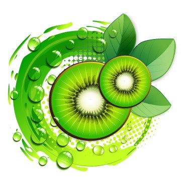 100 Natural Kiwifruit Vector Illustration