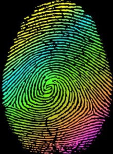 Colored Fingerprint Vector