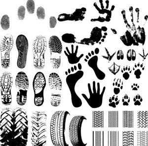 Set Of Black And White Footprints Vector