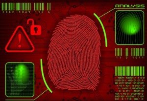 Vector Fingerprint Analysis Interface