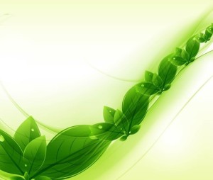 ECO Friendly Concept Vector Green Leaves Background 03