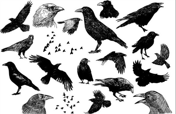 Set Of Black Hand-Drawn Birds Vector Illustration