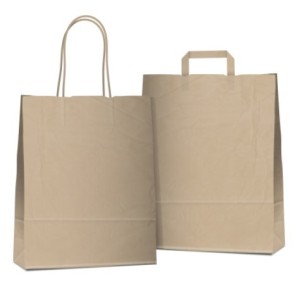 Elegant Vector Paper Shopping Bag Design Template 04