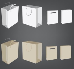 Elegant Vector Paper Shopping Bag Design Template 05