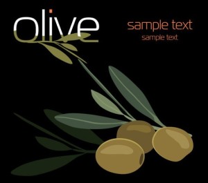 Elegant Vector Olive Oil Design Elements 01