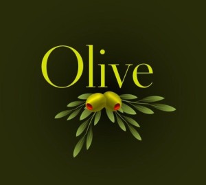 Elegant Vector Olive Oil Design Elements 02