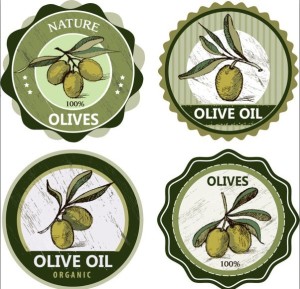 Elegant Vector Olive Oil Design Elements 03