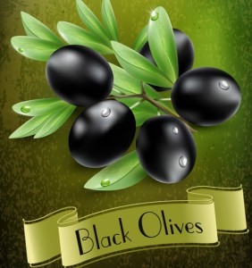 Elegant Vector Olive Oil Design Elements 04