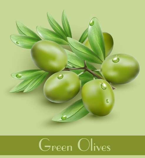 Vector Olive Oil Labels and Logos 06