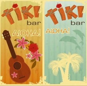 Retro Vintage Hawaii Tours Banner Vector