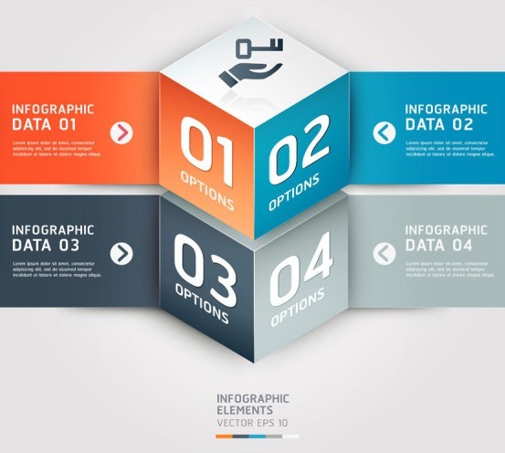 Vector Infographic Option Data Elements 05