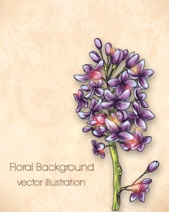 Elegant Colorful Spring Flower Background 03