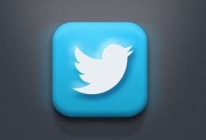 Sleek 3D Twitter Icon PSD