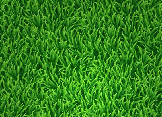 Free Vector Green Grass Background 01 - TitanUI