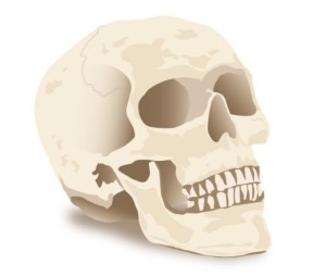 Simple Skull Vector Illustration