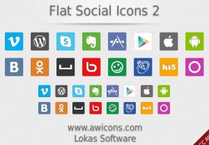 Flat Social Icon Set