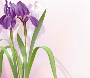 Fantastic Colorful Spring Flower Background 05