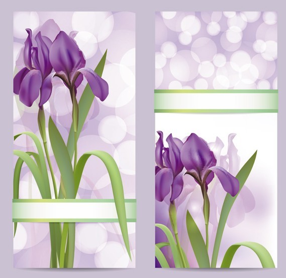 Fantastic Colorful Spring Flower Background 06