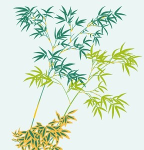 Simple Classical Bamboo Vector Illustration 05