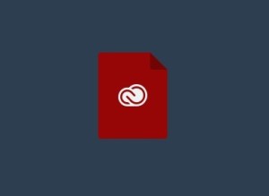 Simple Red CC Icon PSD