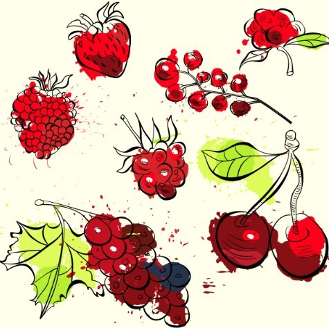 Hand Drawn Fruits Vector Illustration 01