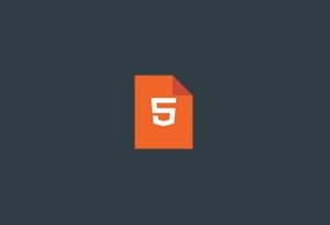 Flat Html5 Icon PSD