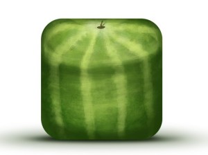 Fresh Watermelon Icon Template PSD