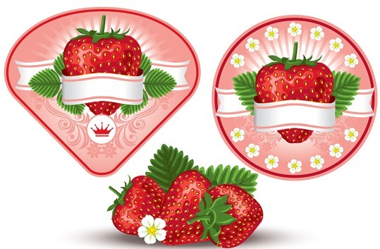 Fresh Vector Strawberry labels 02