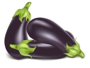 Vector Fresh Eggplants