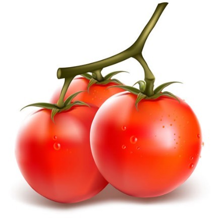 Vector Fresh Tomatoes