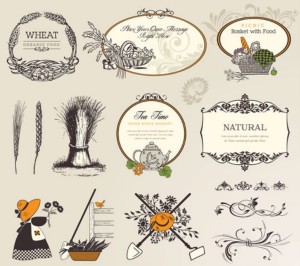 Vintage Vector Nature & Food Design Elements