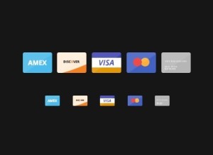 Flat Credit Card Icons PSD