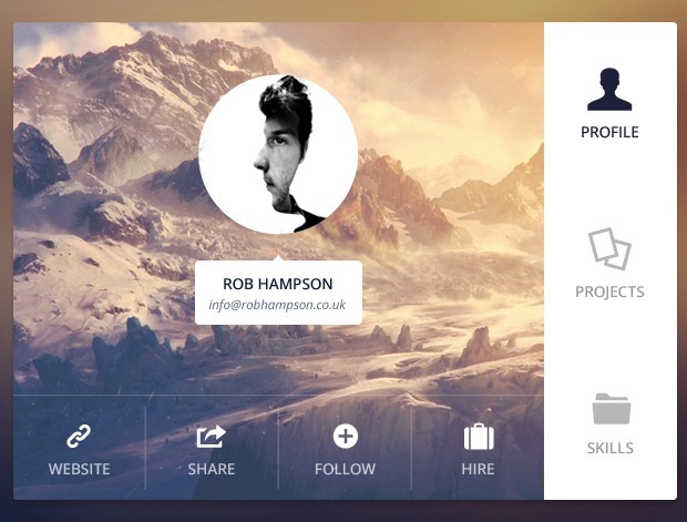 Flat User Profile Box PSD