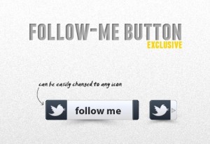 Fashion Social Follow Me Button Template PSD