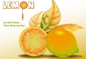 Fresh Lemon Vector Illustration