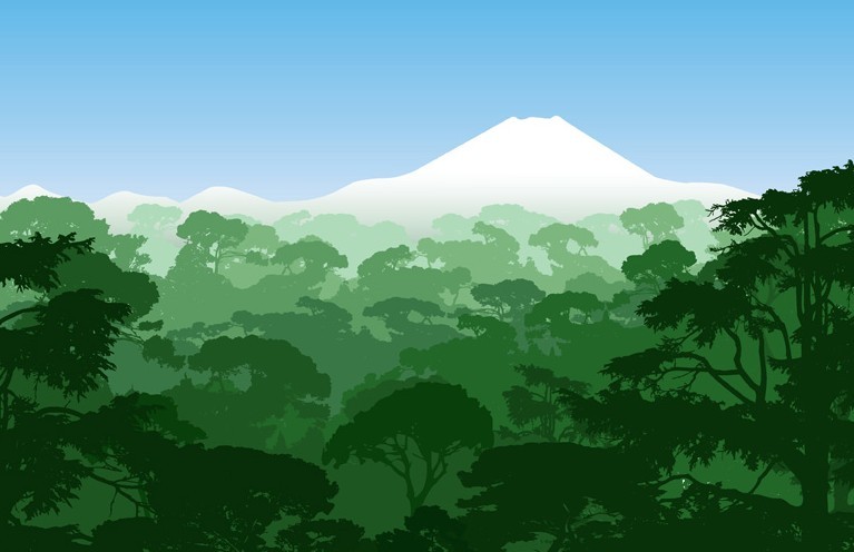 Forests and Snow-Capped Mountains Illustration Vector 02