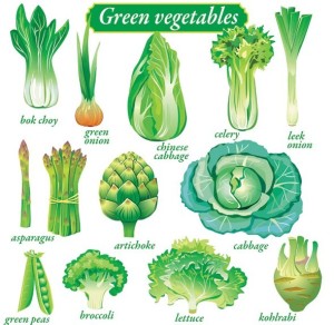 Set Of Vector Fresh Green Vegetables 01