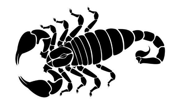 Vector Black Scorpion Silhouette