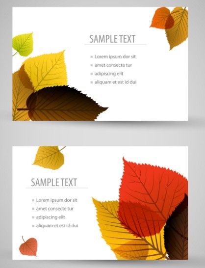 Set of Clean Vector Cards with Maple Leaf Backgrounds