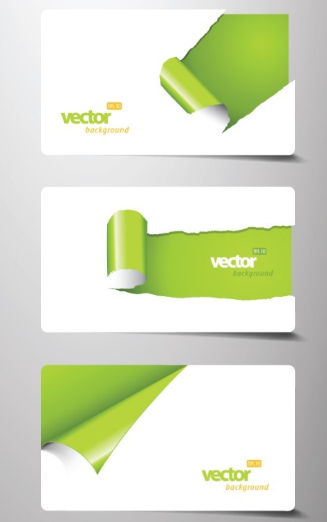 Green ECO Concept Business Card Collection Vector