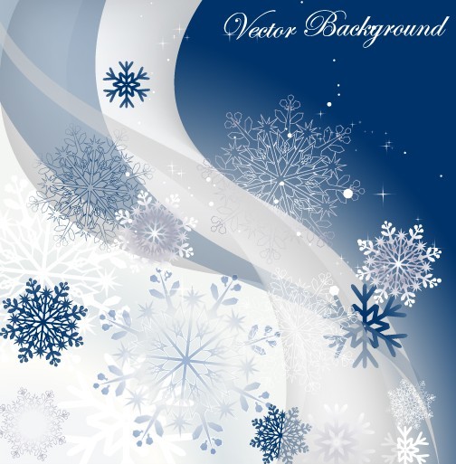 Winter Snowflake Background Vector 01