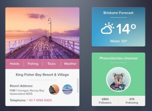 Flat Web Widgets UI Set PSD