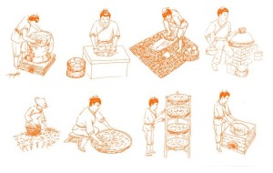 Chinese Tea Processing Vector