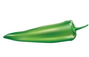 Vector Green Pepper