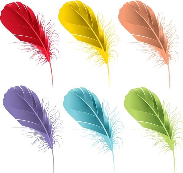 6 Colored Feathers Vector